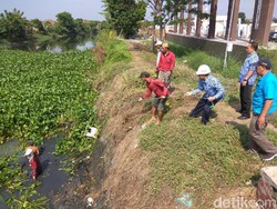Antisipasi Banjir, Dinas PUPR Sidoarjo Siapkan 16 Pompa Air