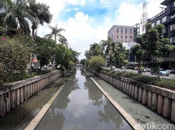 Anggota DPRD: Anies Kadung Ngomong Naturalisasi, Akhirnya Pakai Beton