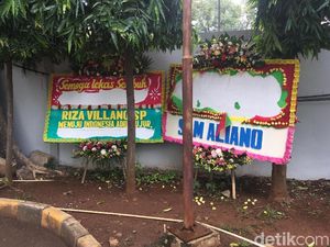 Bunga Papa Tiang Listrik di RSCM Kencana Dirusak Orang Tak Dikenal Bunga Papa Tiang Listrik di RSCM Kencana Dirusak Orang Tak Dikenal