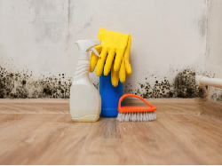 Awas! Ini Benda yang Paling Banyak Dihinggapi Bakteri