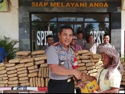 Petani Ini Temukan 209 Kg Ganja Tak Bertuan di Pinggir Jalan