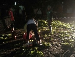 Hujan Disertai Angin, 4 Pohon Tumbang di Jakarta Barat