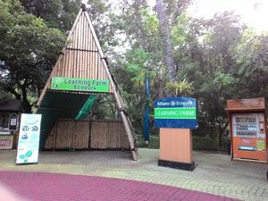 Wisata Edukasi yang Asyik di Ancol