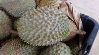 Download 7700 Koleksi Gambar Durian Busuk Paling Bagus Gratis HD