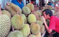 Pemerintah Malaysia Penasaran Soal Durian sebagai Makanan Afrodisiak