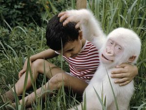Potret Hewan Albino Langka yang Menakjubkan