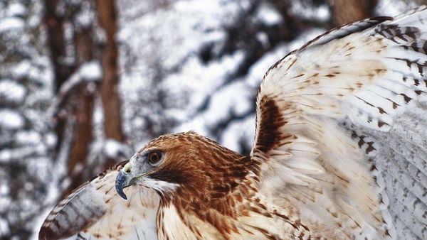 Keren! Hasil Jepretan Anak-anak yang Nyeni Banget