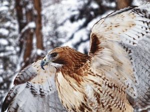 Keren! Hasil Jepretan Anak-anak yang Nyeni Banget