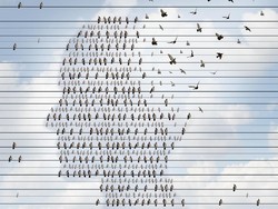 Peneliti Kembangkan Tes Darah Terbaru, Prediksi Alzheimer Sebelum Bergejala