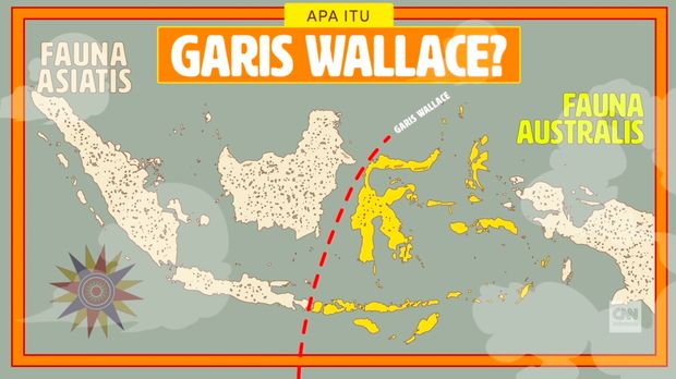 Ternate, Lahirnya Teori Evolusi dari Wallace yang Dilupakan