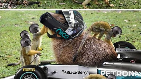 Deretan Foto Lucu Makin Kocak Berkat Photoshop