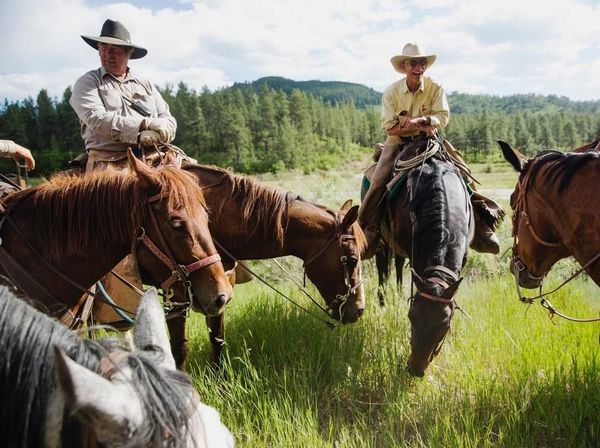 Foto: Begini Kehidupan Koboi Sesungguhnya di Amerika