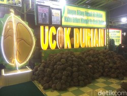 Ayang-Bobby Resepsi di Medan, Ucok Siapkan 5.000 Durian Sambut Jokowi