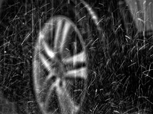 Rainy