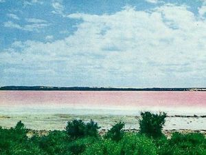 Lake Pink di Australia Barat Tidak Lagi Merah Muda