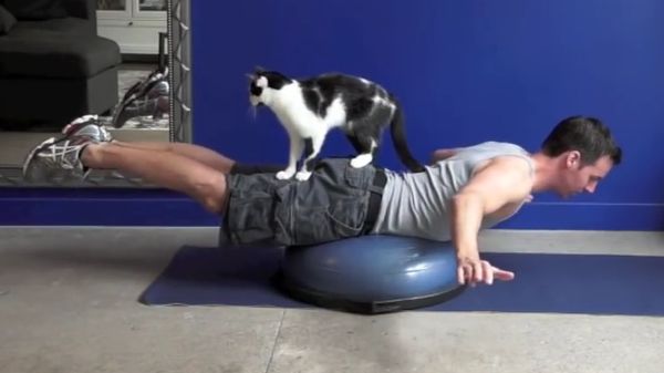 Pria Ini Praktikkan Cara Olahraga Bareng Kucing Kesayangan