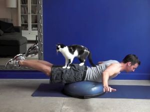 Pria Ini Praktikkan Cara Olahraga Bareng Kucing Kesayangan