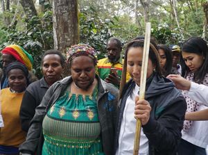 Rini Soemarno Blusukan ke Perkebunan Kopi Papua