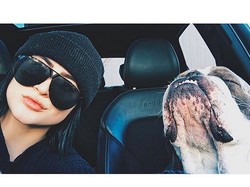 Nyetir Sambil Mabuk, Miliarder Cantik Ini Didenda Ratusan Juta