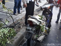 Patah Kaki, Pemotor Korban Pohon Tumbang Dilarikan ke RSPAD