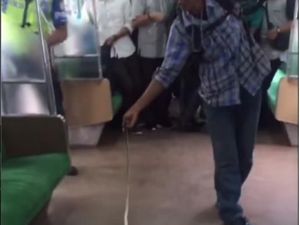 Heboh Ular Ikut Naik KRL dan Bikin Ngeri Penumpang