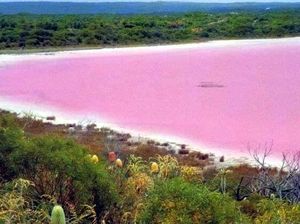Foto: Danau Pink Australia yang Sudah Tidak Pink Lagi