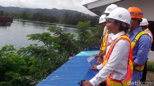Rini Cek Jembatan Holtekamp di Papua yang Dibanggakan Jokowi