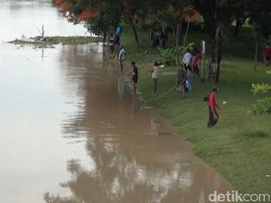Warga Lamongan Ramai-ramai Ngumbo Ikan di Bengawan Solo Warga Lamongan Ramai-ramai Ngumbo Ikan di Bengawan Solo