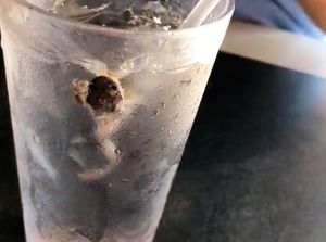 Hiii! Ada Katak Mengambang dalam Gelas Minum Pengunjung Waffle House
