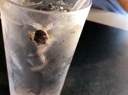 Hiii! Ada Katak Mengambang dalam Gelas Minum Pengunjung Waffle House