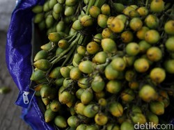 Manfaat dan Bahaya Makan Buah Pinang, Penting Diketahui