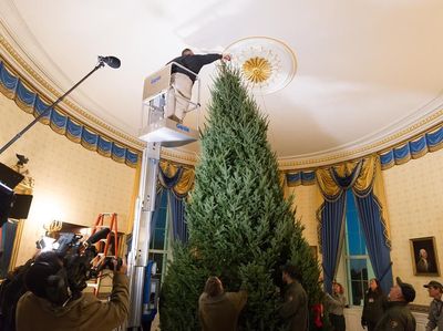 Pohon Natal yang Mulai Dipasang di Gedung Putih