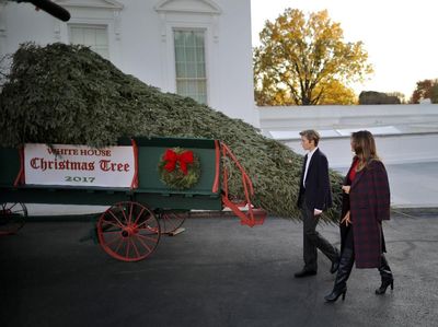 Momen Istri dan Anak Trump Sambut Pohon Natal di Gedung Putih