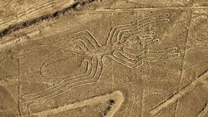 Mau Lihat Garis-garis Misterius Nazca?