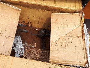 2 Residivis Bandar Ganja 66 Kg Ditangkap, Modusnya Dicampur Kopi