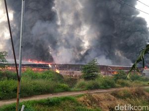 Peternakan Ayam di Kudus Terbakar, Kerugian Ditaksir Rp 3,5 M Peternakan Ayam di Kudus Terbakar, Kerugian Ditaksir Rp 3,5 M