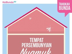 Nggak Disangka! Ini Area di Rumah yang Bisa Jadi Sarang Nyamuk