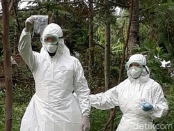 Tiga Warga Terindikasi Antraks di Bondowoso, 1 Orang Negatif