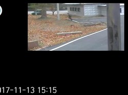 Korut Langgar Gencatan Senjata Saat Kejar Tentara Pembelot