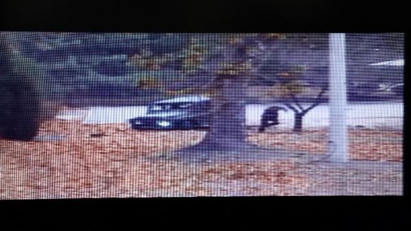 Gambar CCTV Ini Ungkap Momen Dramatis Pelarian Tentara Korut Pembelot