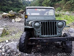 Memacu Adrenalin di Bebatuan Merapi Naik Jeep Willys