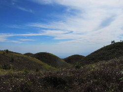 Pemandangan Menawan Omah Domes dari Atas Bukit Teletubbies