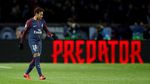 Foto-foto Terbaik Matchday V Liga Champions: Messi di Bench, Neymar Sang Predator