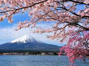 5 Hal Ini Bisa Bikin Liburan ke Jepang Bareng Anak Lebih Irit 5 Hal Ini Bisa Bikin Liburan ke Jepang Bareng Anak Lebih Irit