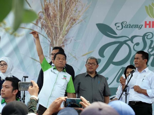 Mentan Amran dan Ketua HKTI Panen Padi di Indramayu