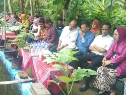 Kementan Suntik Rp 100 Juta ke Kelompok Tani di Kulon Progo