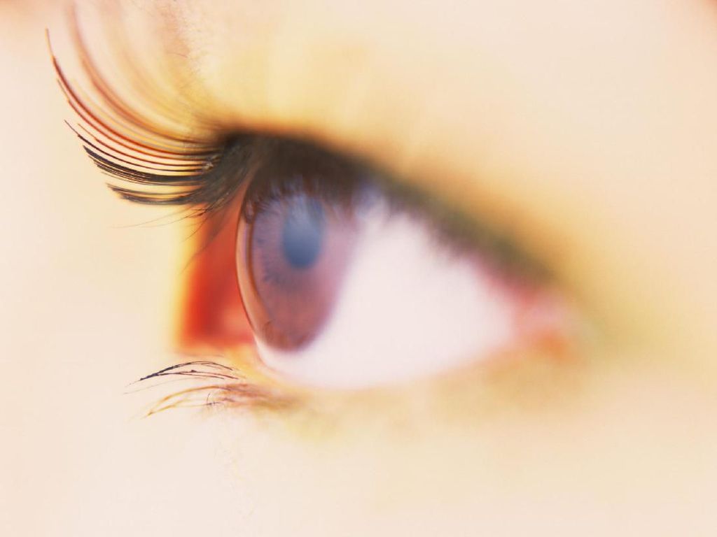 Terapi Stem Cell Disebut Bisa Kembalikan Penglihatan yang Hilang