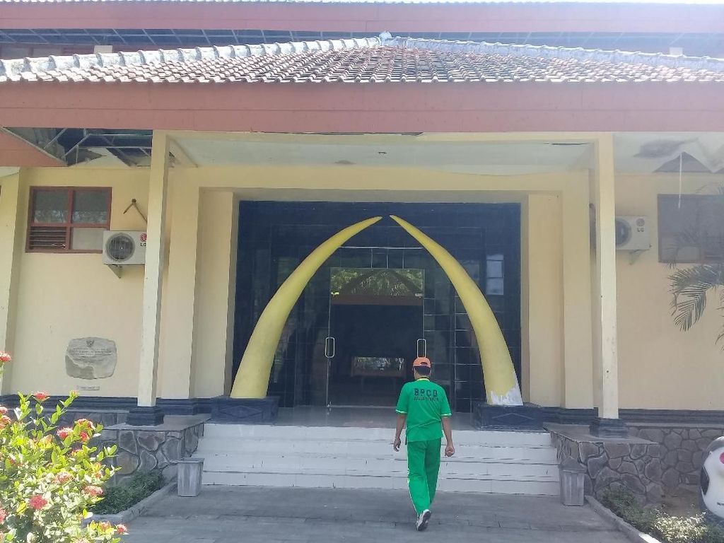 Paket Wisata Heritage Diusulkan untuk Bangkitkan Museum Trinil Paket Wisata Heritage Diusulkan untuk Bangkitkan Museum Trinil
