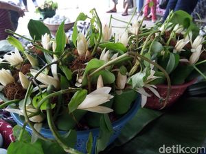 Sekaten dan Keresahan Spiritual Sekaten dan Keresahan Spiritual