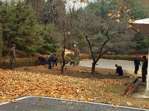 Foto: Ini yang Dilakukan Korut Setelah Tentaranya Membelot ke Korsel